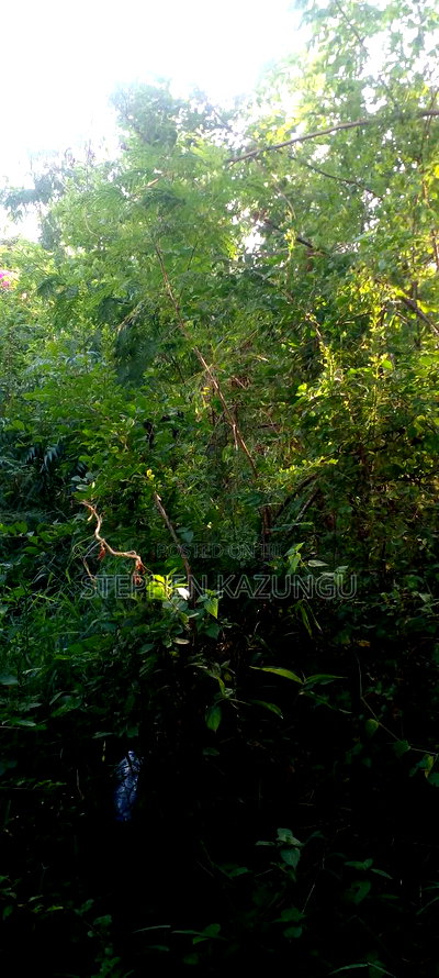 Galu Beach 2nd Row 1/2 Acre on Sale - Image 6