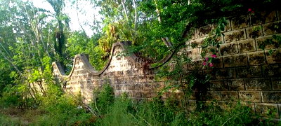 Galu Beach 2nd Row 1/2 Acre on Sale - Image 3