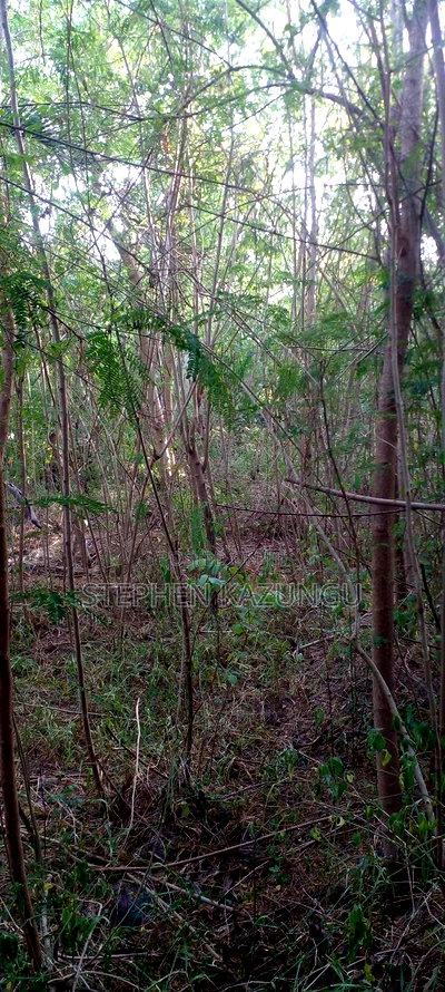 Galu Beach 2nd Row 1/2 Acre on Sale - Image 10