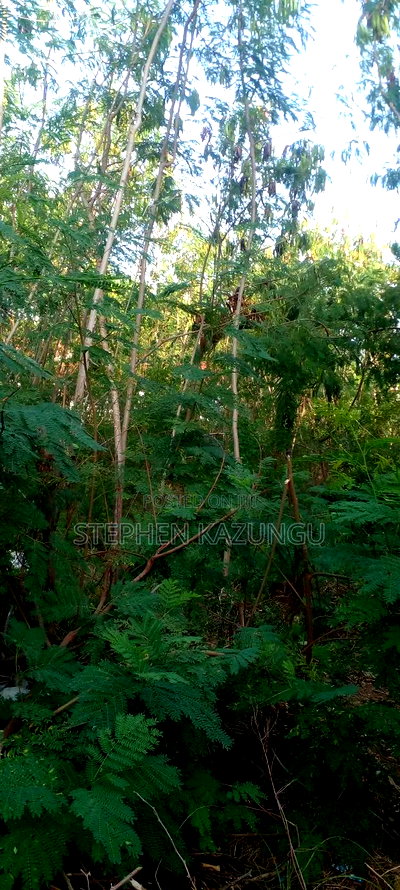 Galu Beach 2nd Row 1/2 Acre on Sale - Image 7