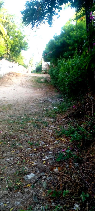 Galu Beach 2nd Row 1/2 Acre on Sale - Image 9