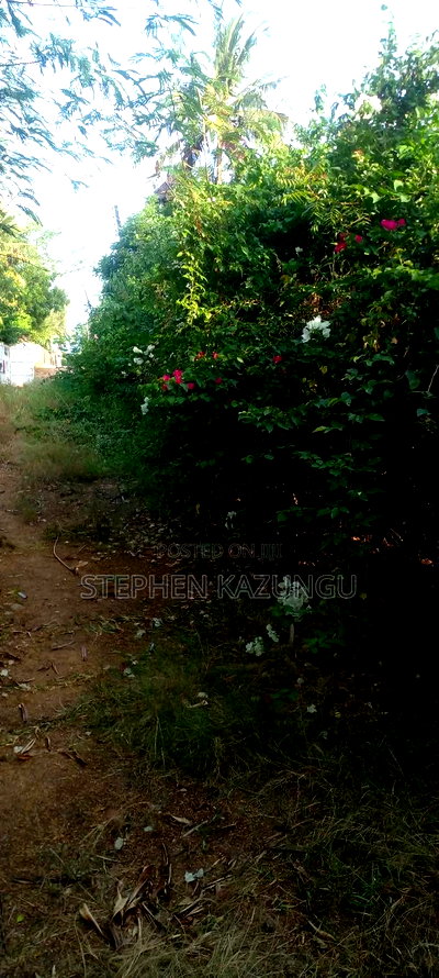 Galu Beach 2nd Row 1/2 Acre on Sale - Image 2