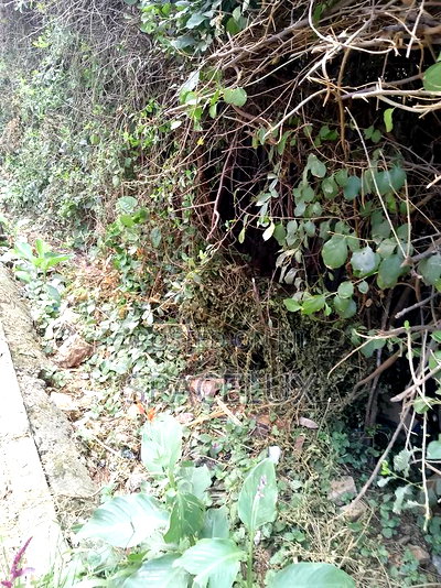 Prime Half Acre Joint Venture Westlands - Image 2