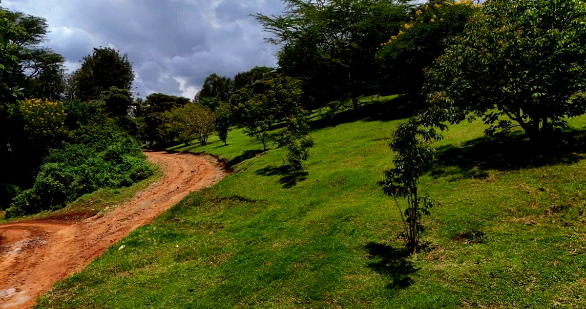Garden Plot at KSh 7.5M