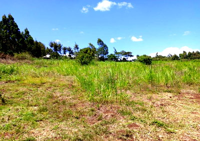 2-Acre Garden Plot in Nairobi