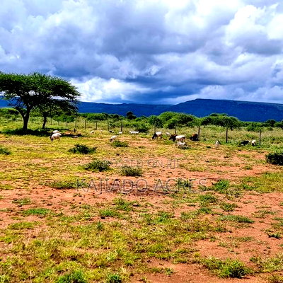 1 Acre Saikeri-Najile Road at - Image 2