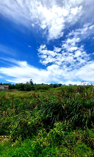 1/2 Acre Runda Plot at KSh 60M