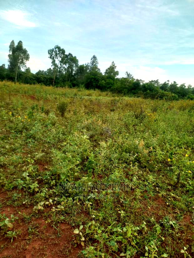 Behind Akala Catholic Church.