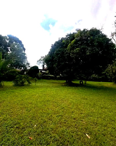 1-Acre Lavington Plot with Garden