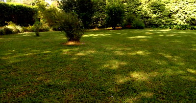 Half Acre Kileleshwa Plot with Garden