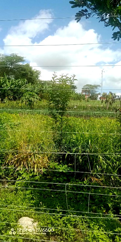 2acres Za 2.5m Per Acre in Kiserian - Image 8
