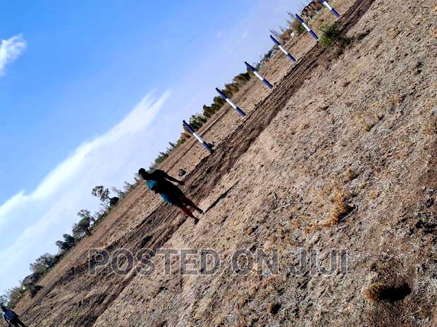 Prestige Phase2 Kamulu