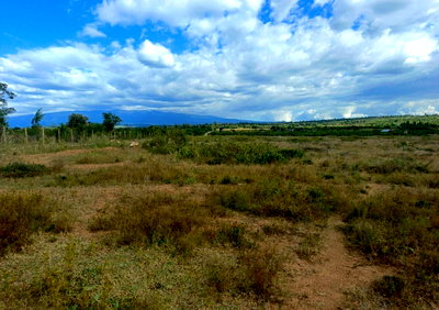 5-Acre Garden Plot with Pet Friendly Policy