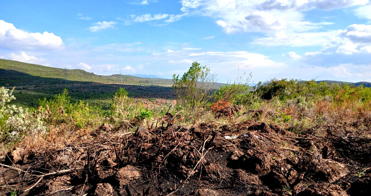 550 Acres in Kiambu for KSh 1.2M