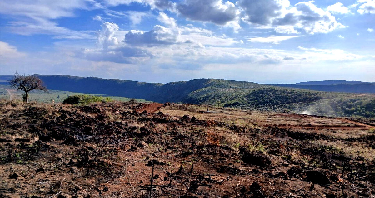 550 Acres in Kiambu for KSh 1.2M