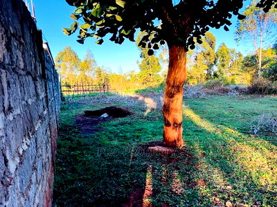 Prime Plot For Sale In Kikuyu. - Image 6