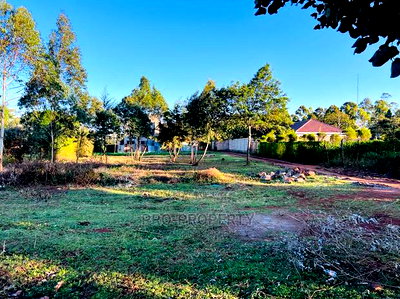 Prime Plot For Sale In Kikuyu. - Image 8