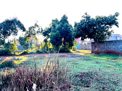 Prime Plot For Sale In Kikuyu. - Image 5