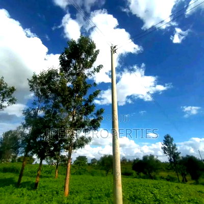 Twiga ESTATE Plot for Sale - Image 2