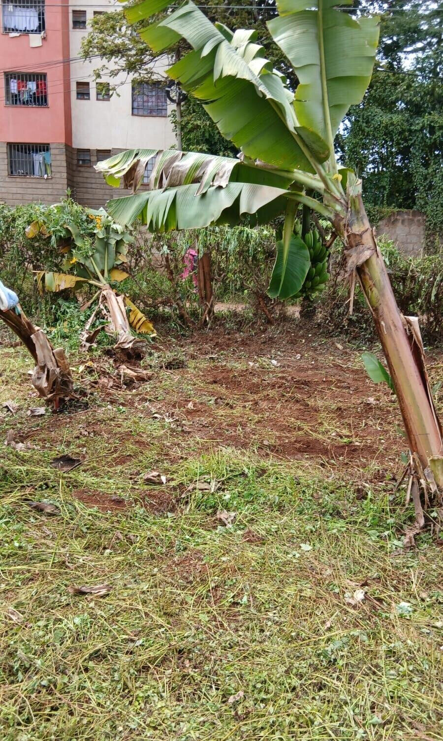 KSh 16M Main Road Plot in Muthiga