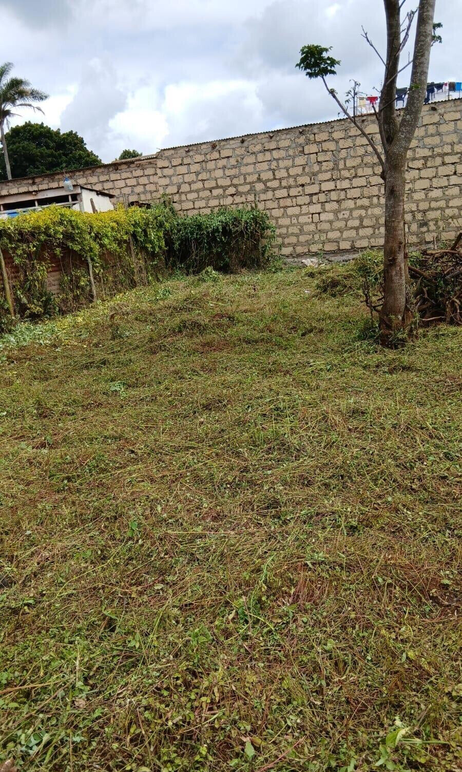 KSh 16M Main Road Plot in Muthiga