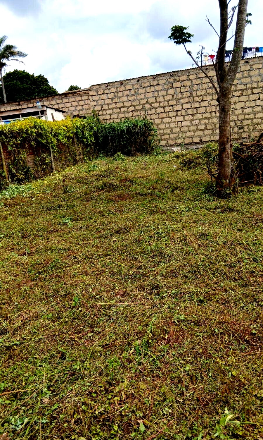 KSh 16M Main Road Plot in Muthiga