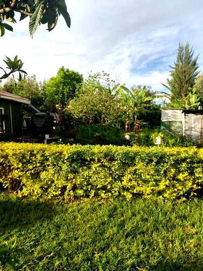 1/8 Commercial Nkoroi - Image 4