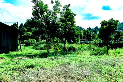 50by100ft Plot for Sale in Gikambura - Image 6