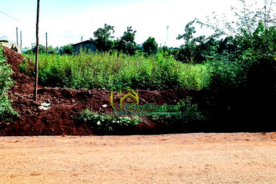 50by100ft Plot for Sale in Gikambura - Image 4