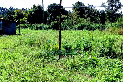 50by100ft Plot for Sale in Gikambura - Image 1