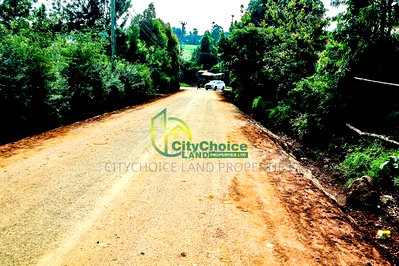 50by100ft Plot for Sale in Gikambura - Image 5