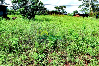 50by100ft Plot for Sale in Gikambura - Image 3