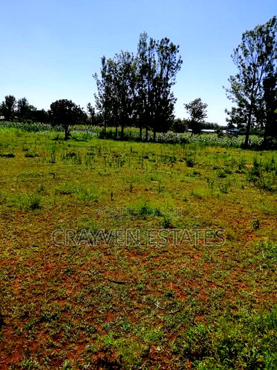 Makuyu Greens Phase 2 - Image 1