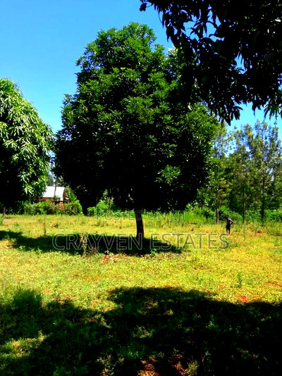 Makuyu Greens Phase 2 - Image 2