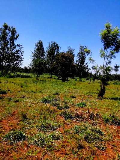 Makuyu Greens Phase 2 - Image 5