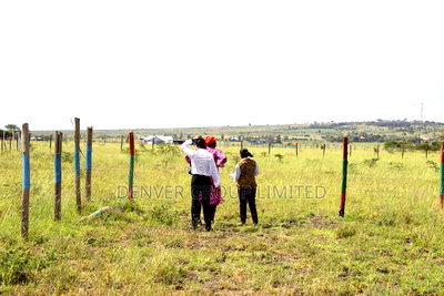 Dream Residential Property in Kamulu Town - Image 1