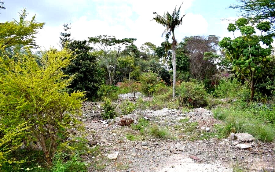 1-Acre Plot in Lavington at KSh 220M