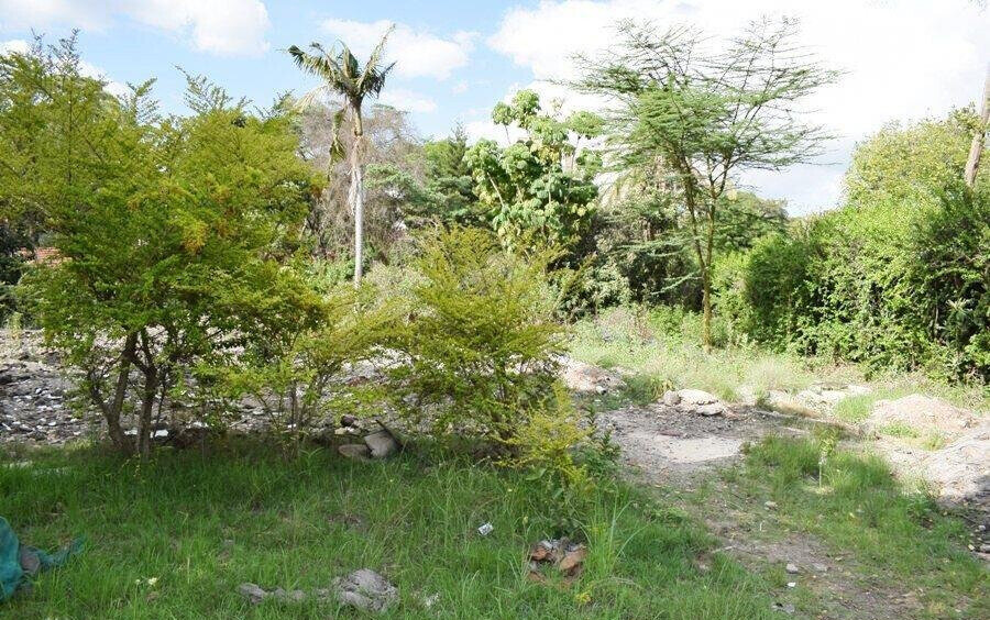 1-Acre Plot in Lavington at KSh 220M