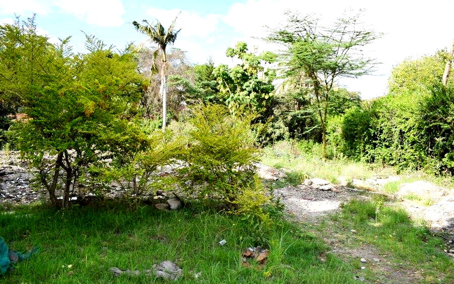 1-Acre Plot in Lavington at KSh 220M