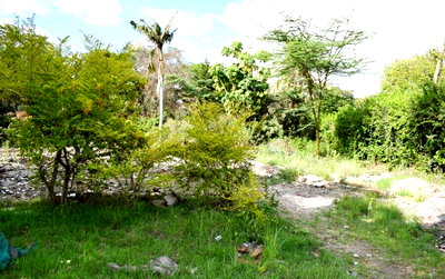 1-Acre Plot in Lavington at KSh 220M