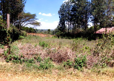 Quarter Acre Langata Gem for KSh 18M