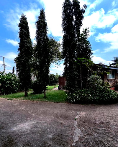 Half Acre Plot at KSh 56M