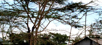 2 Acres for Sale at Machakos Junction - Image 9