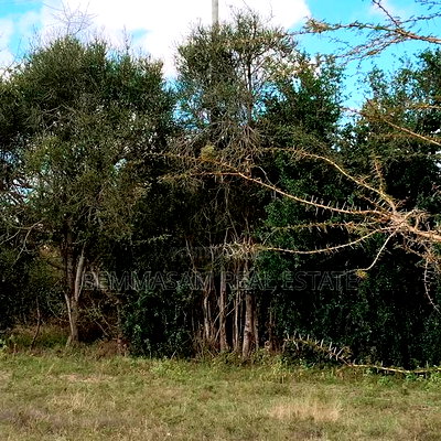 2 Acres for Sale at Machakos Junction - Image 6