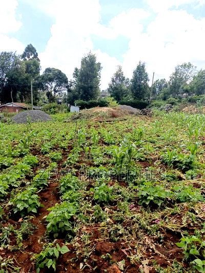 Half Acre Kerarapon - Image 2