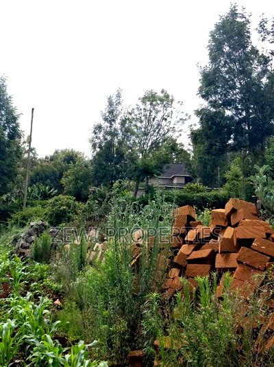 Half Acre Kerarapon - Image 5