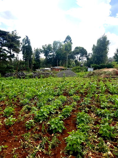 Half Acre Kerarapon - Image 1