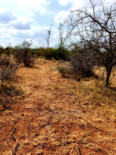 246 Acres Pion(Ilkisumeti) at Per Acre - Image 4