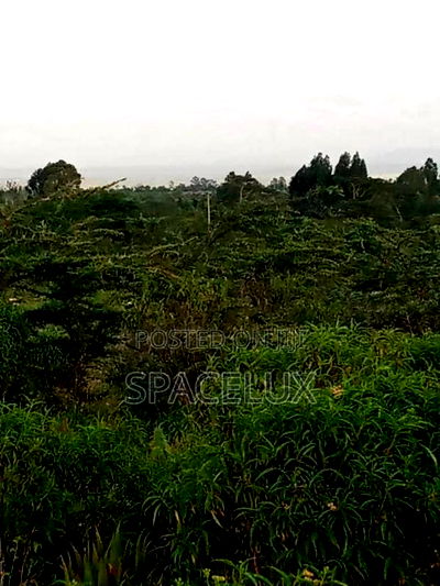 Prime 135 Acres Karen - Image 1