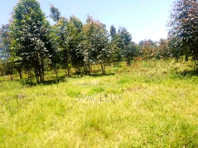 Prime 135 Acres Karen - Image 2